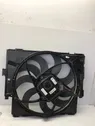 Electric radiator cooling fan