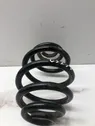 Rear coil spring