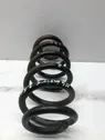 Front coil spring