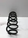 Front coil spring