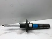 Front shock absorber/damper