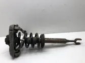 Front shock absorber with coil spring