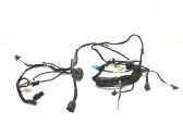 Front door wiring loom