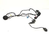 Front door wiring loom