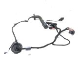Rear door wiring loom