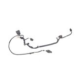Other wiring loom