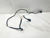 Other wiring loom