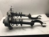 Front shock absorber with coil spring