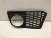 Front fog light trim/grill