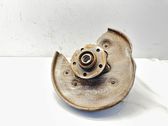 Rear wheel hub spindle/knuckle