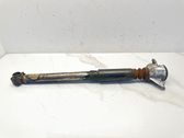Rear shock absorber/damper