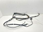 Wires (starter motor)