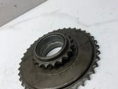 Zahnrad Stirnrad Steuerkette