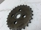 Zahnrad Stirnrad Steuerkette