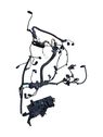 Engine installation wiring loom