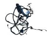 Rear door wiring loom