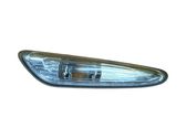 Front fender indicator light