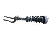 Front shock absorber with coil spring