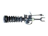 Front shock absorber with coil spring