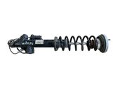 Rear shock absorber with coil spring