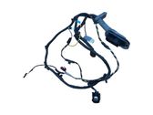 Rear door wiring loom