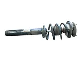 Front shock absorber with coil spring