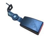 Rear seatbelt buckle