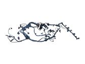 Engine installation wiring loom