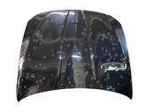 Engine bonnet/hood