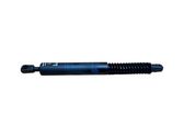 Tailgate/trunk strut/damper
