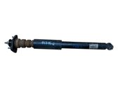 Rear shock absorber/damper