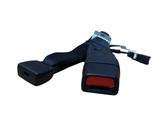 Rear seatbelt buckle