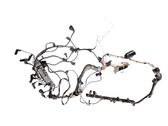 Engine installation wiring loom