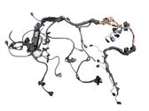 Engine installation wiring loom