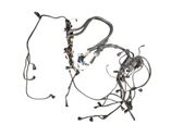 Engine installation wiring loom