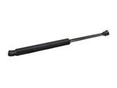 Tailgate/trunk strut/damper