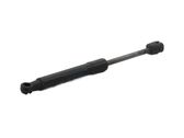 Front bonnet/hood damper/strut