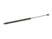 Front bonnet/hood damper/strut