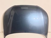 Engine bonnet/hood