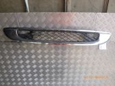 Kühlergrill