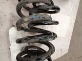 Muelle espiral trasero