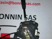 Indicator stalk