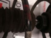 Front coil spring