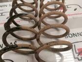 Front coil spring