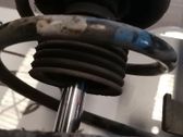 Front coil spring