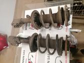 Front coil spring