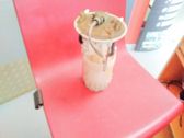 In-tank fuel pump