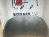 Engine bonnet/hood