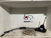 Tailgate/trunk/boot lid
