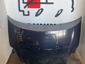 Engine bonnet/hood